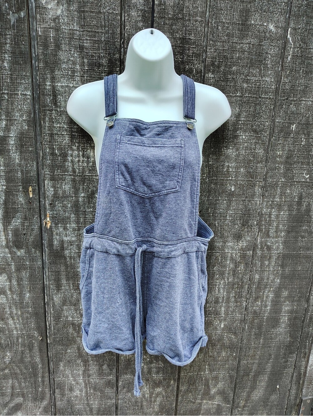 Wallflower Overall Shorts